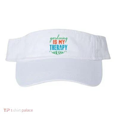 Visor