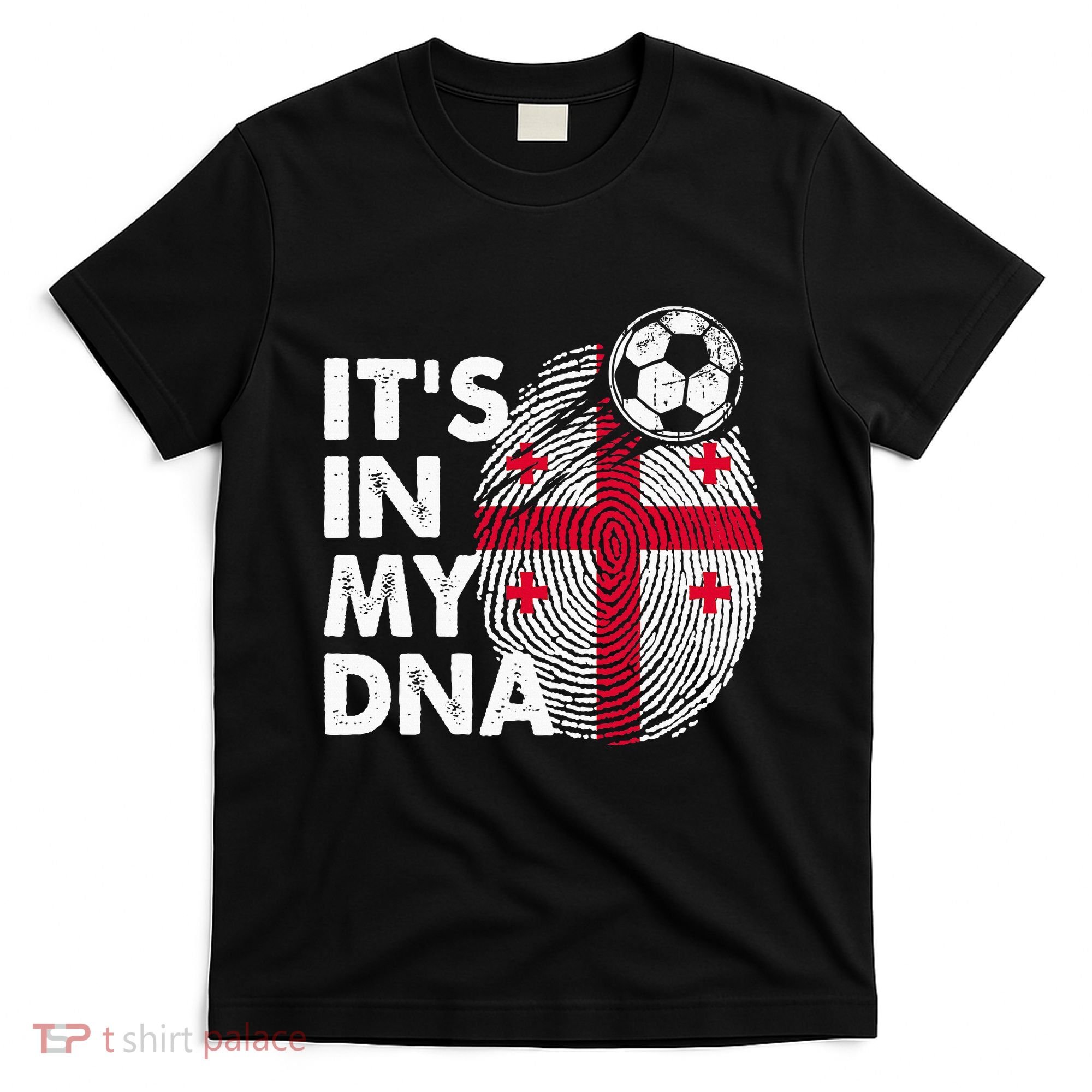 Georgia In My Dna Georgian Flag Team Georgia T-Shirt