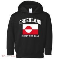 Greenland Is Not For Sale Toddler Hoodie thumb 0