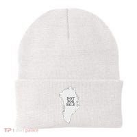 Greenland Is Not For Sale Beanie thumb 0