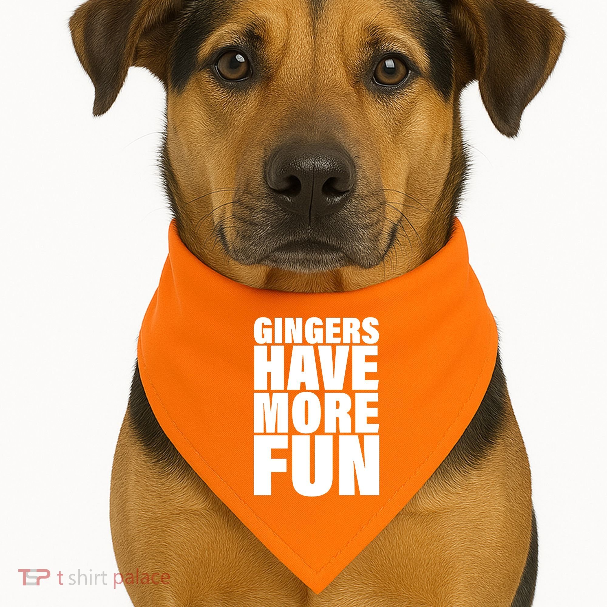 Gingers Have More Fun USA-Made Doggie Bandana