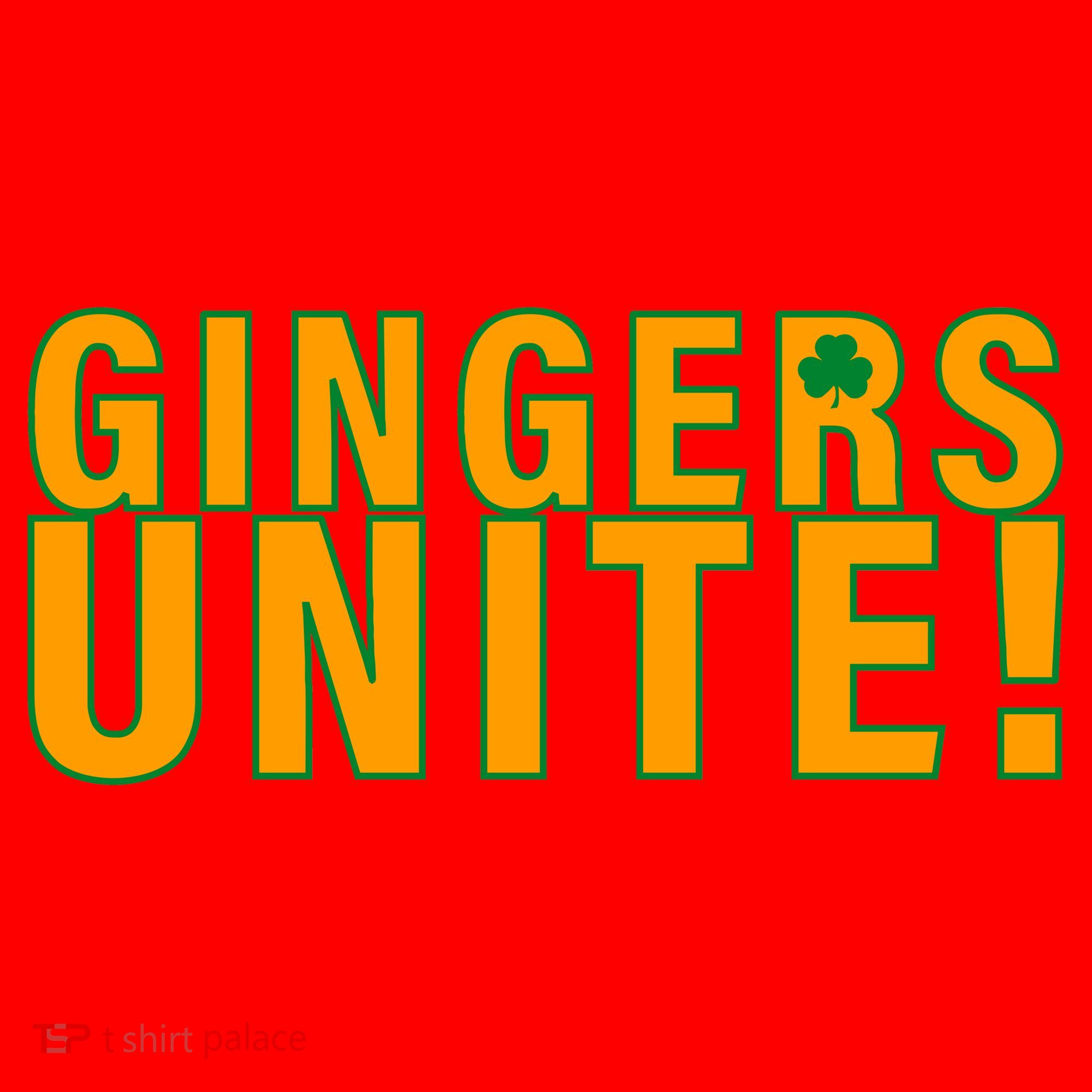 Gingers Unite St. Patrick's Day Irish Santa Hat