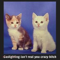 Gaslighting Isnt Real You Crazy B.I.T.C.H Funny Cat Lover Beanie thumb 2