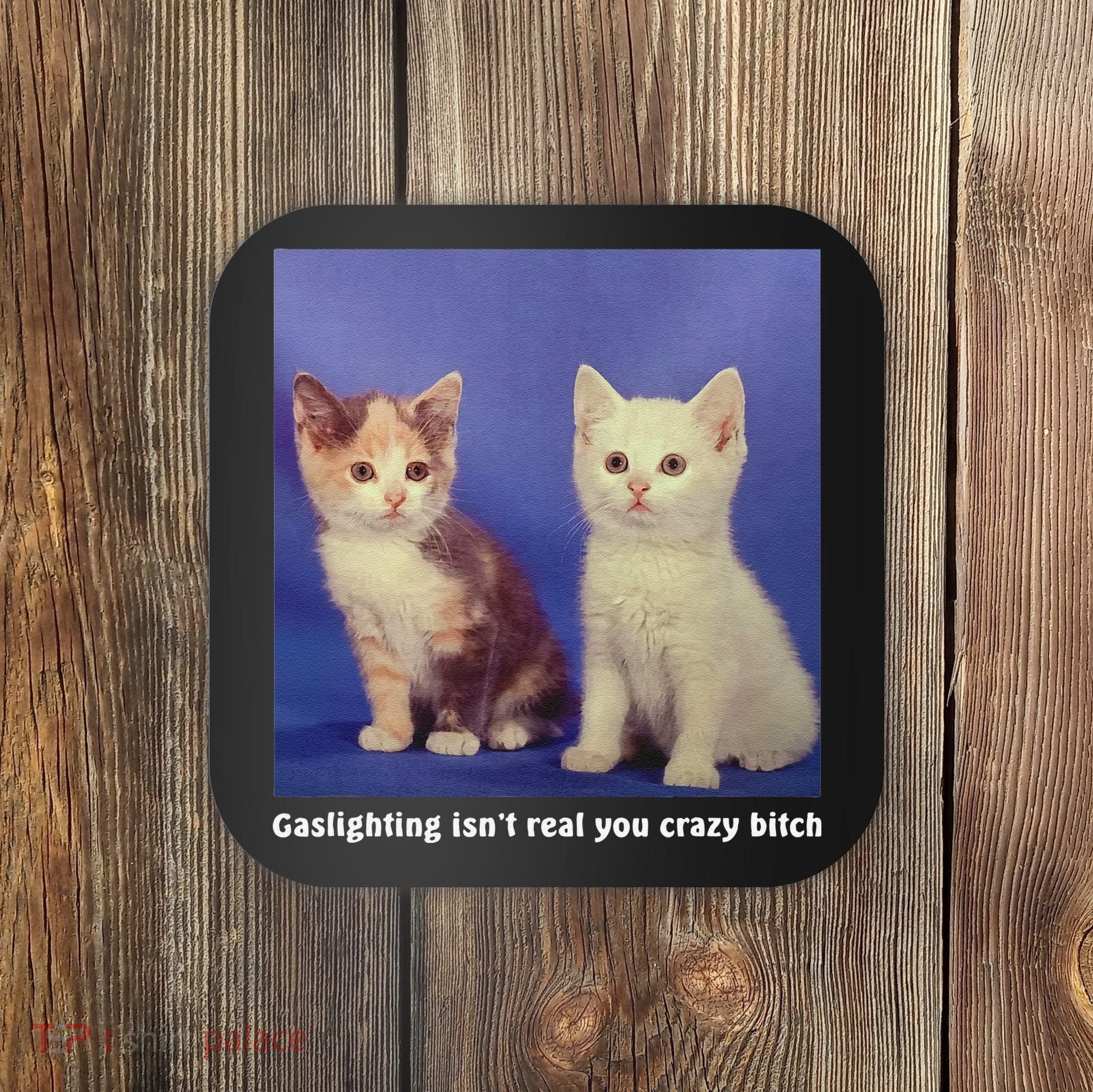 Gaslighting Isnt Real You Crazy B.I.T.C.H Funny Cat Lover Coaster