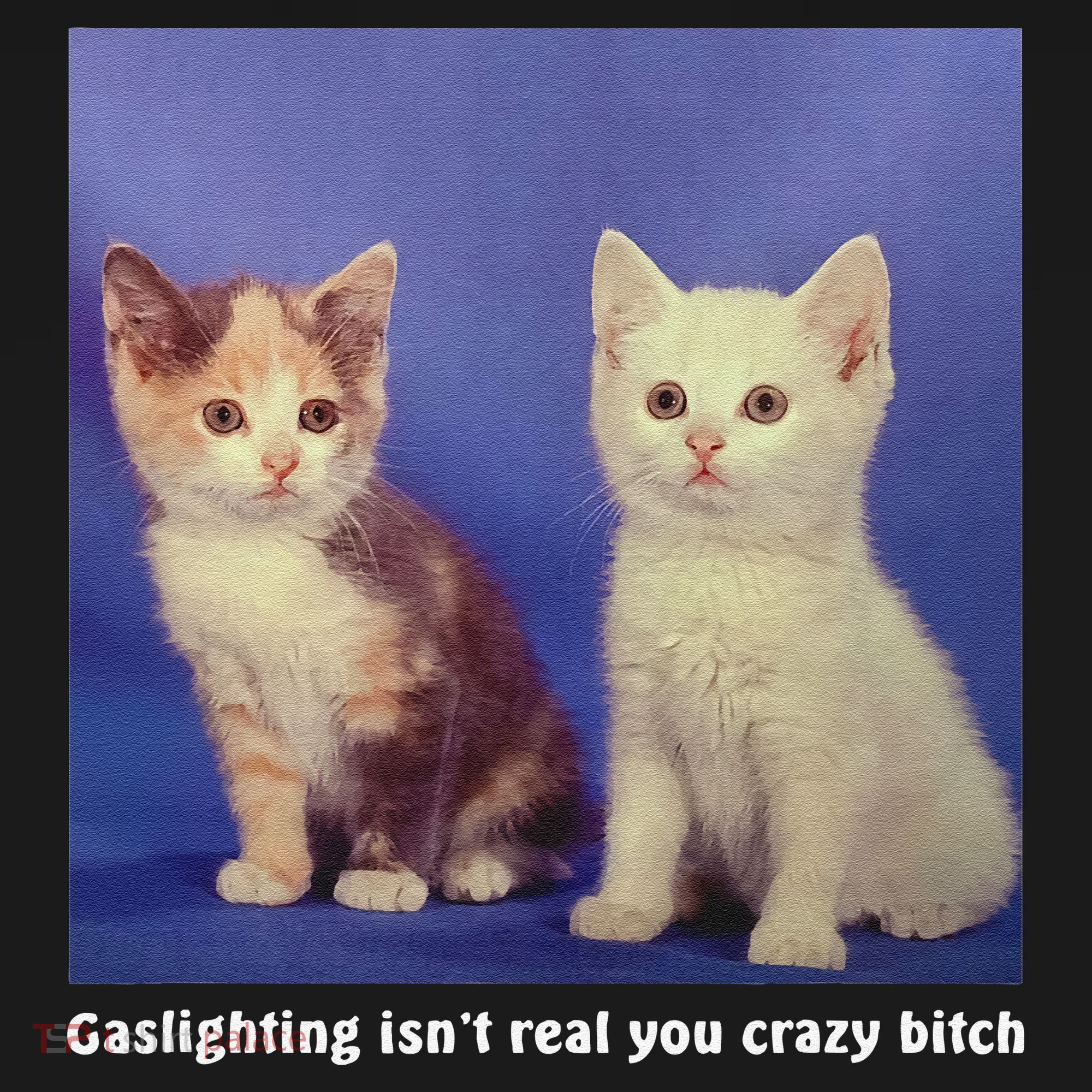 Gaslighting Isnt Real You Crazy B.I.T.C.H Funny Cat Lover Ornament