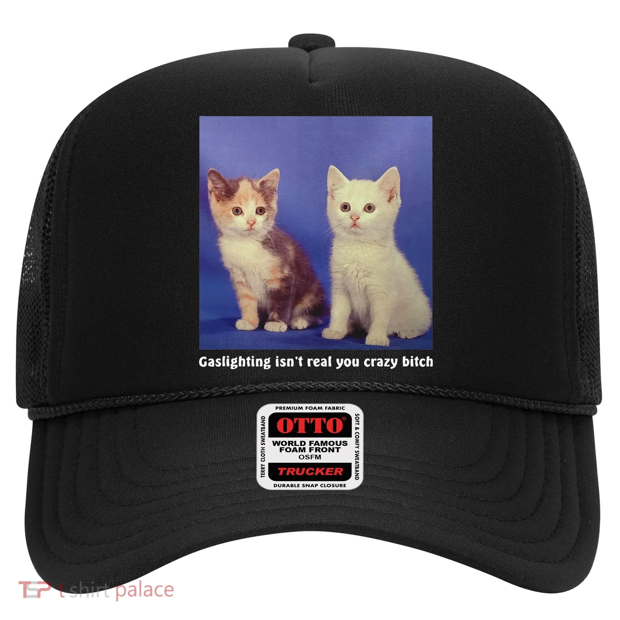 Gaslighting Isnt Real You Crazy B.I.T.C.H Funny Cat Lover Hat