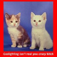 Gaslighting Isnt Real You Crazy B.I.T.C.H Funny Cat Lover Santa Hat thumb 1