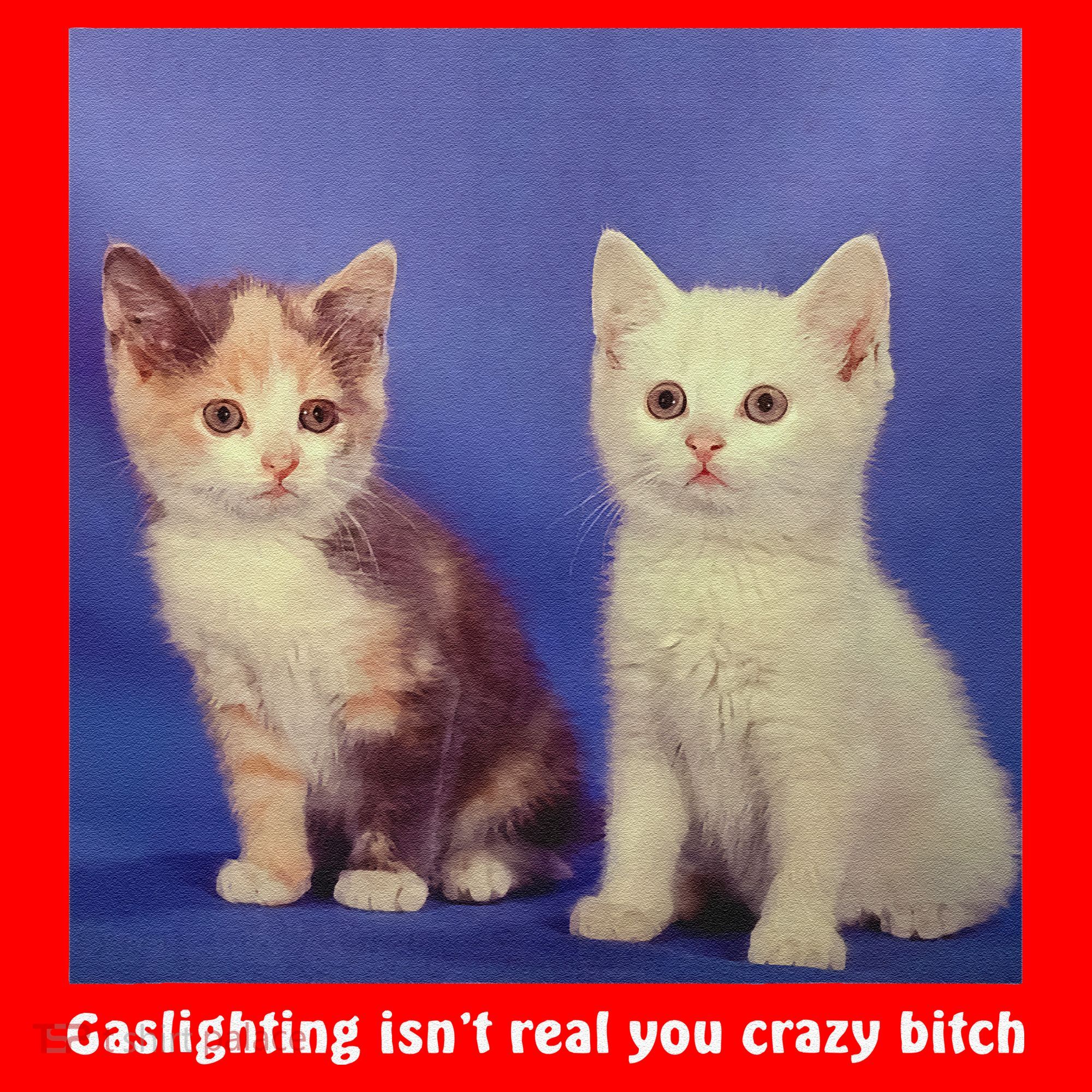 Gaslighting Isnt Real You Crazy B.I.T.C.H Funny Cat Lover Santa Hat