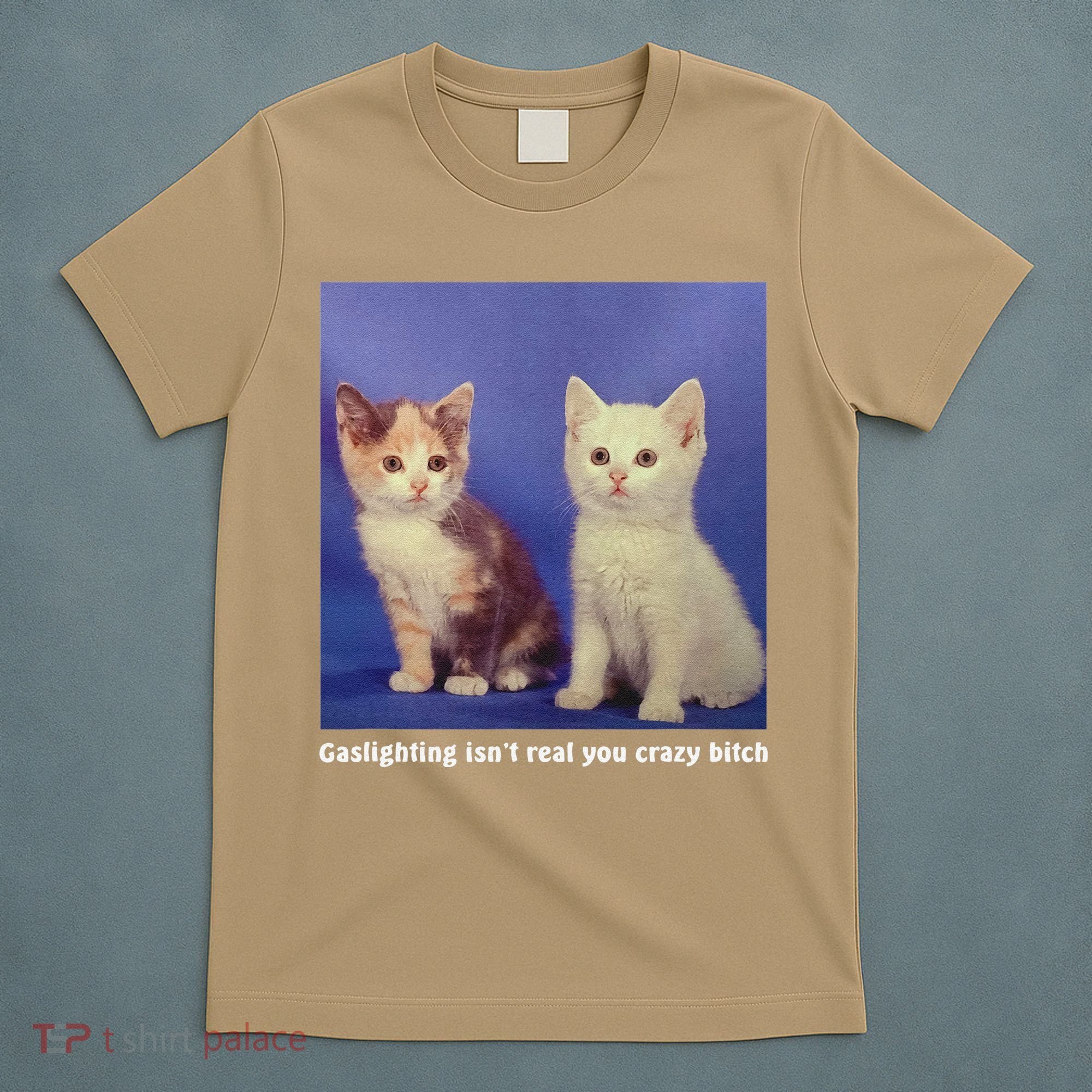 Gaslighting Isnt Real You Crazy B.I.T.C.H Funny Cat Lover T-Shirt