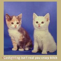 Gaslighting Isnt Real You Crazy B.I.T.C.H Funny Cat Lover Polo thumb 2