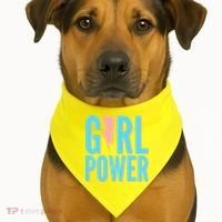 Girl Power Lightning Bolt USA-Made Doggie Bandana thumb 1