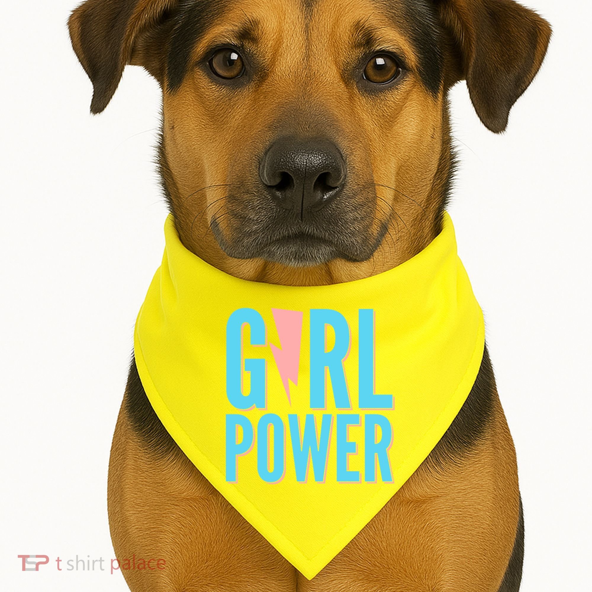 Girl Power Lightning Bolt USA-Made Doggie Bandana