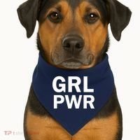 Girl Power Logo USA-Made Doggie Bandana thumb 1