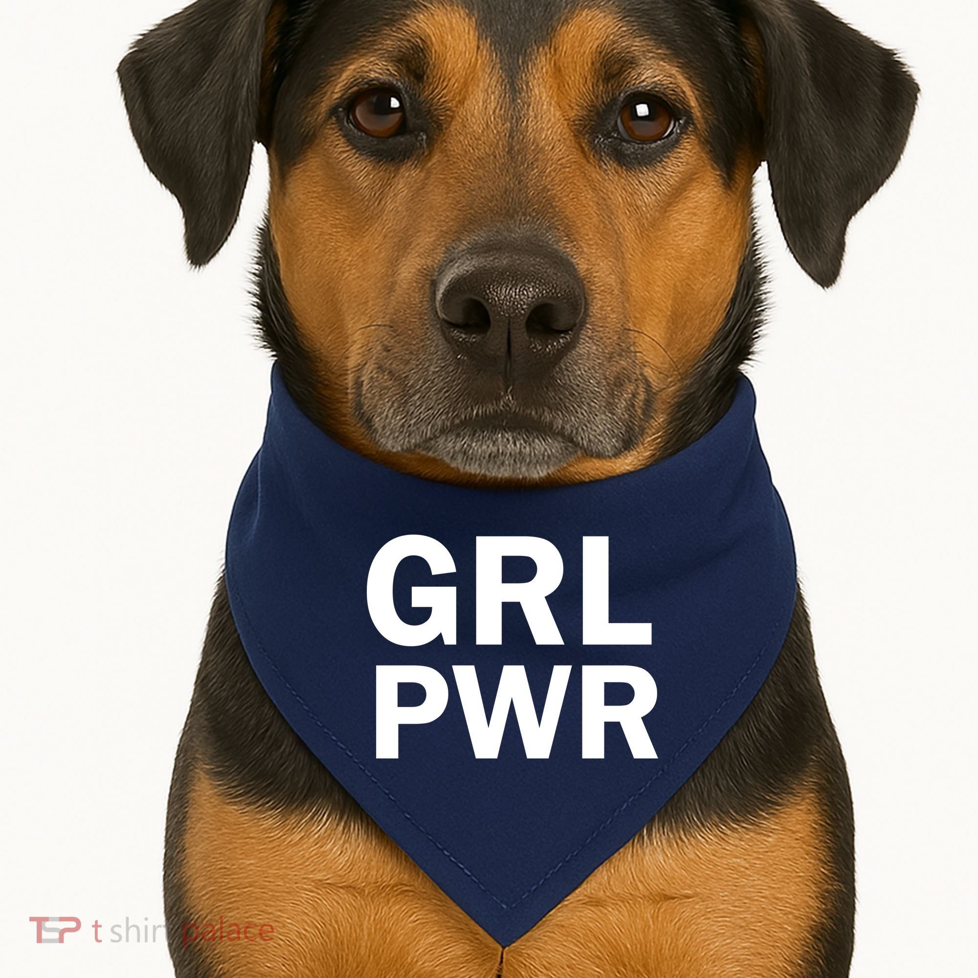 Girl Power Logo USA-Made Doggie Bandana