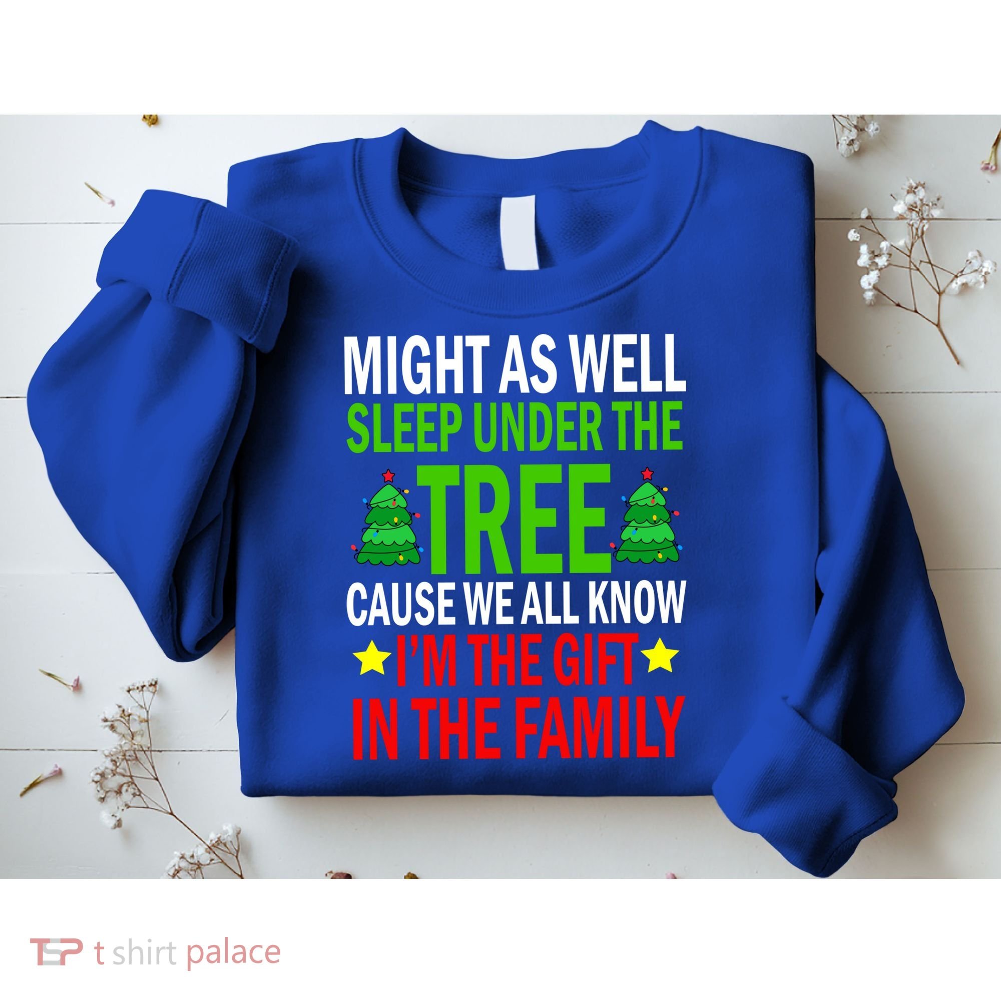 Gift In The Family Funny Christmas Holiday Sweatshirt