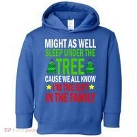 Gift In The Family Funny Christmas Holiday Toddler Hoodie thumb 0