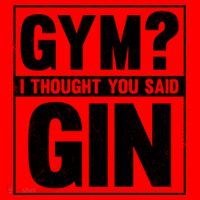 Gym I Thought You Said Gin Alcohol Partying Cocktail Pub Gift Santa Hat thumb 1