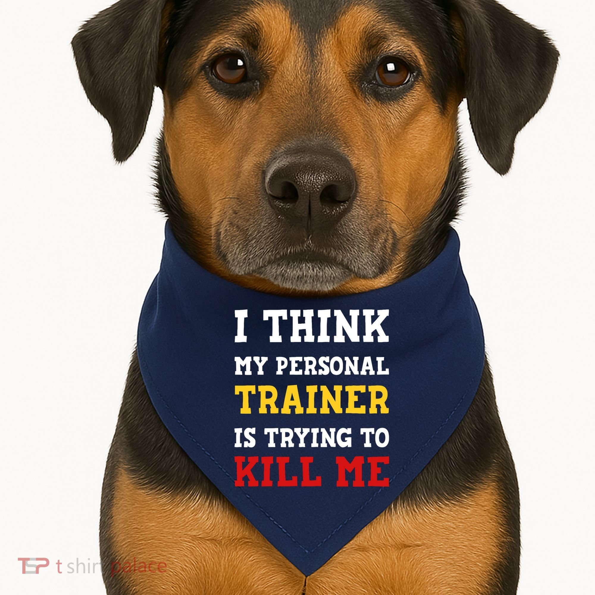 Gym I Think My Trainer Is Trying To Kill Me Personal Trainer USA-Made Doggie Bandana