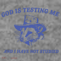 God Is Testing Me Possum Weird Opossum Toddler Hoodie thumb 2