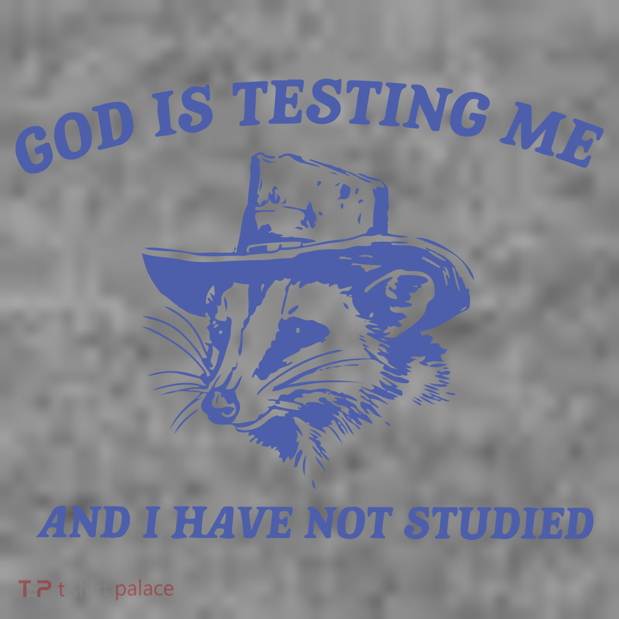 God Is Testing Me Possum Weird Opossum Toddler Hoodie