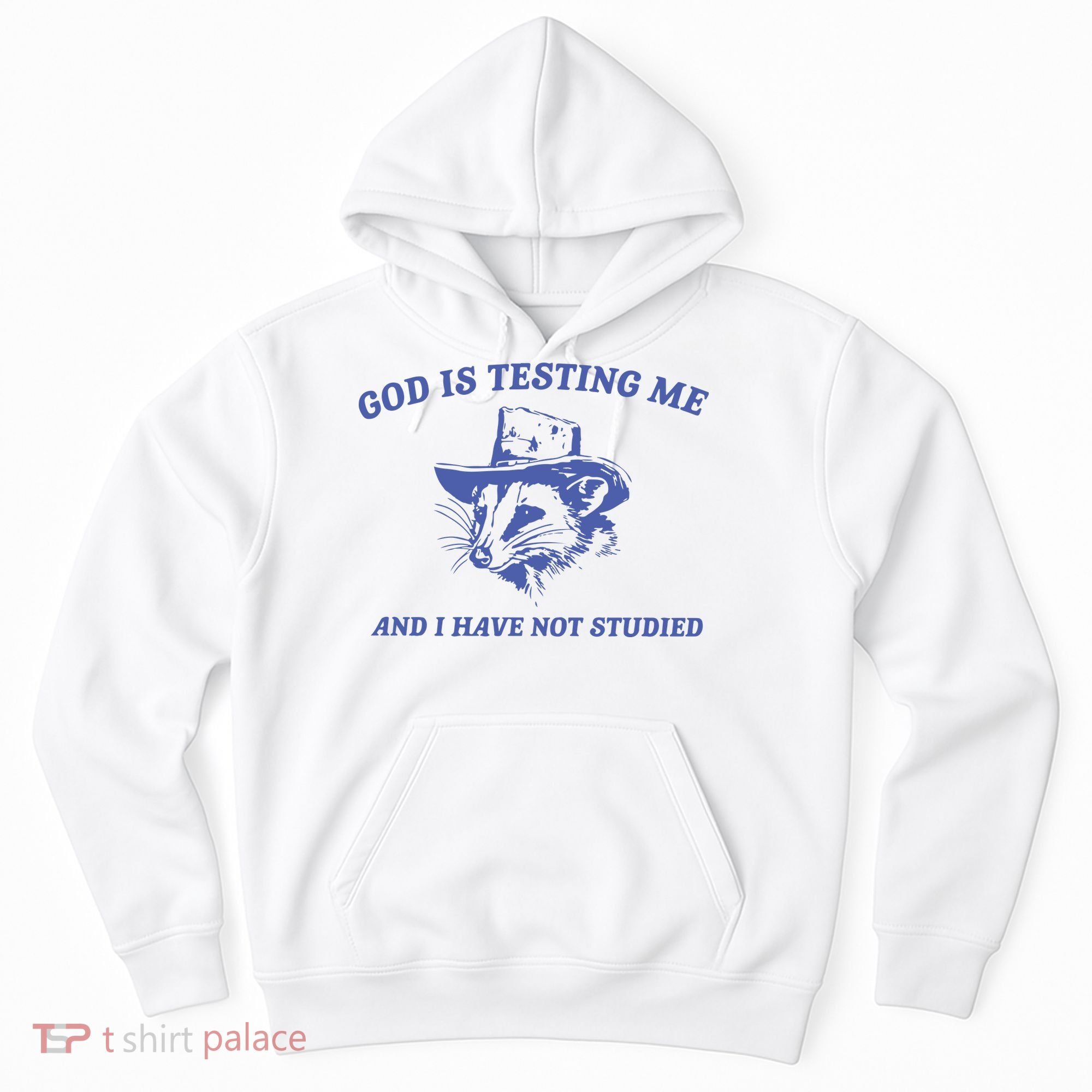 God Is Testing Me Possum Weird Opossum Hoodie
