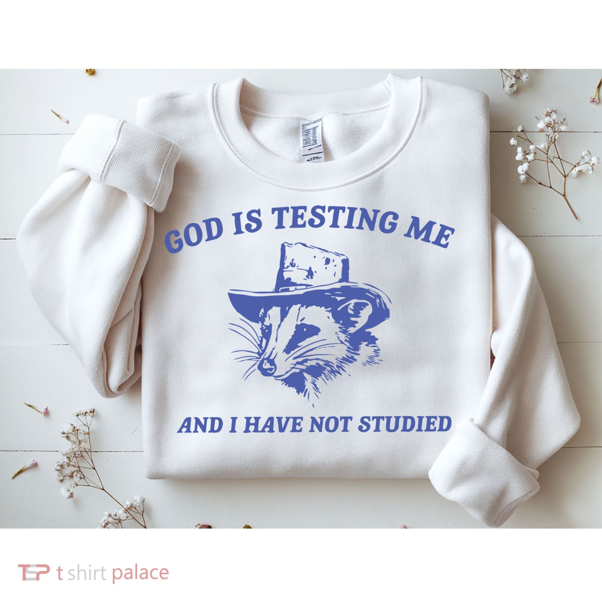 God Is Testing Me Possum Weird Opossum Sweatshirt