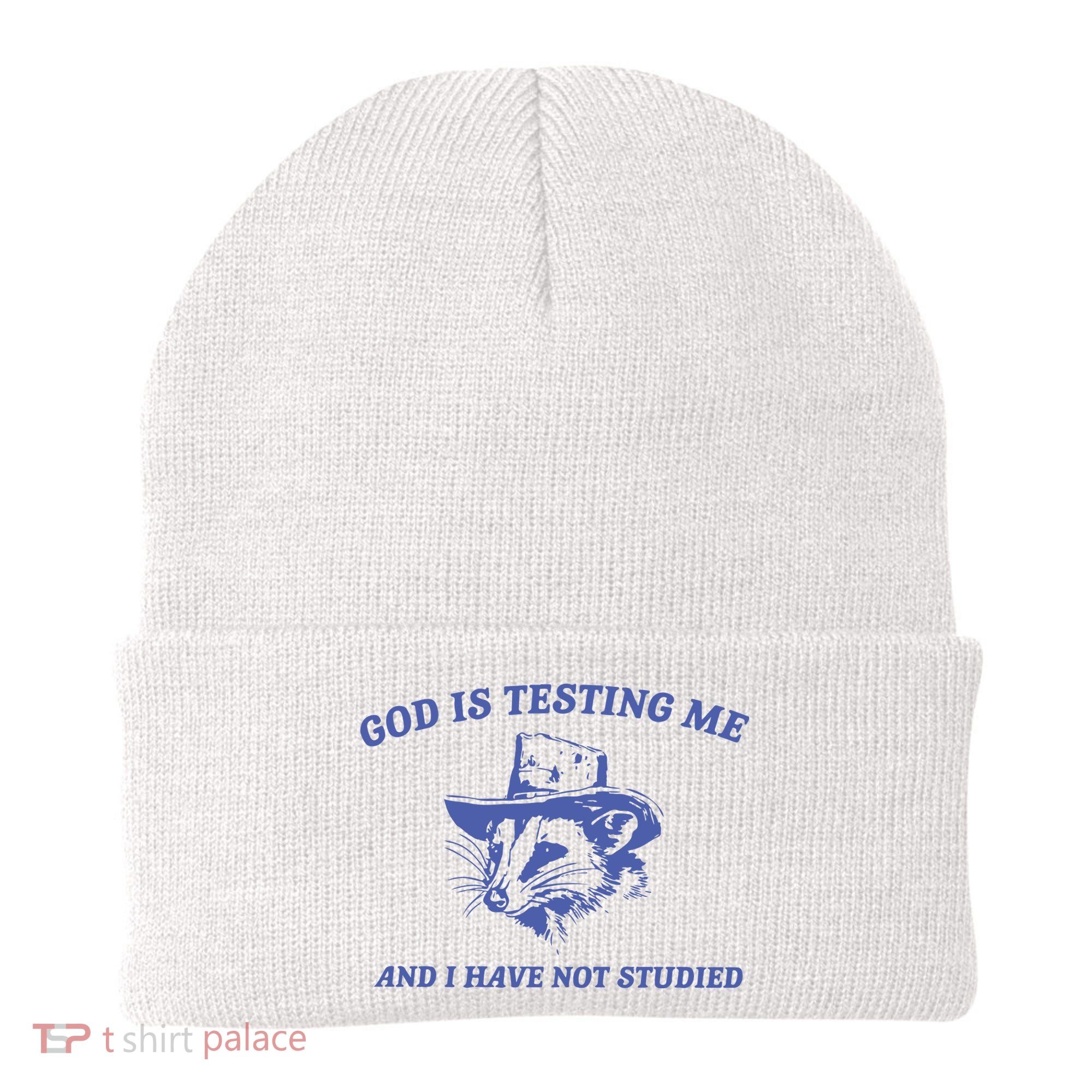 God Is Testing Me Possum Weird Opossum Beanie