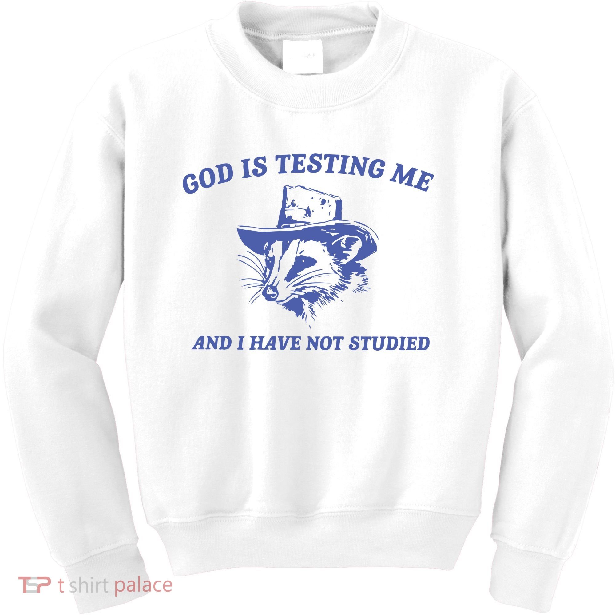 God Is Testing Me Possum Weird Opossum Kids Sweatshirt