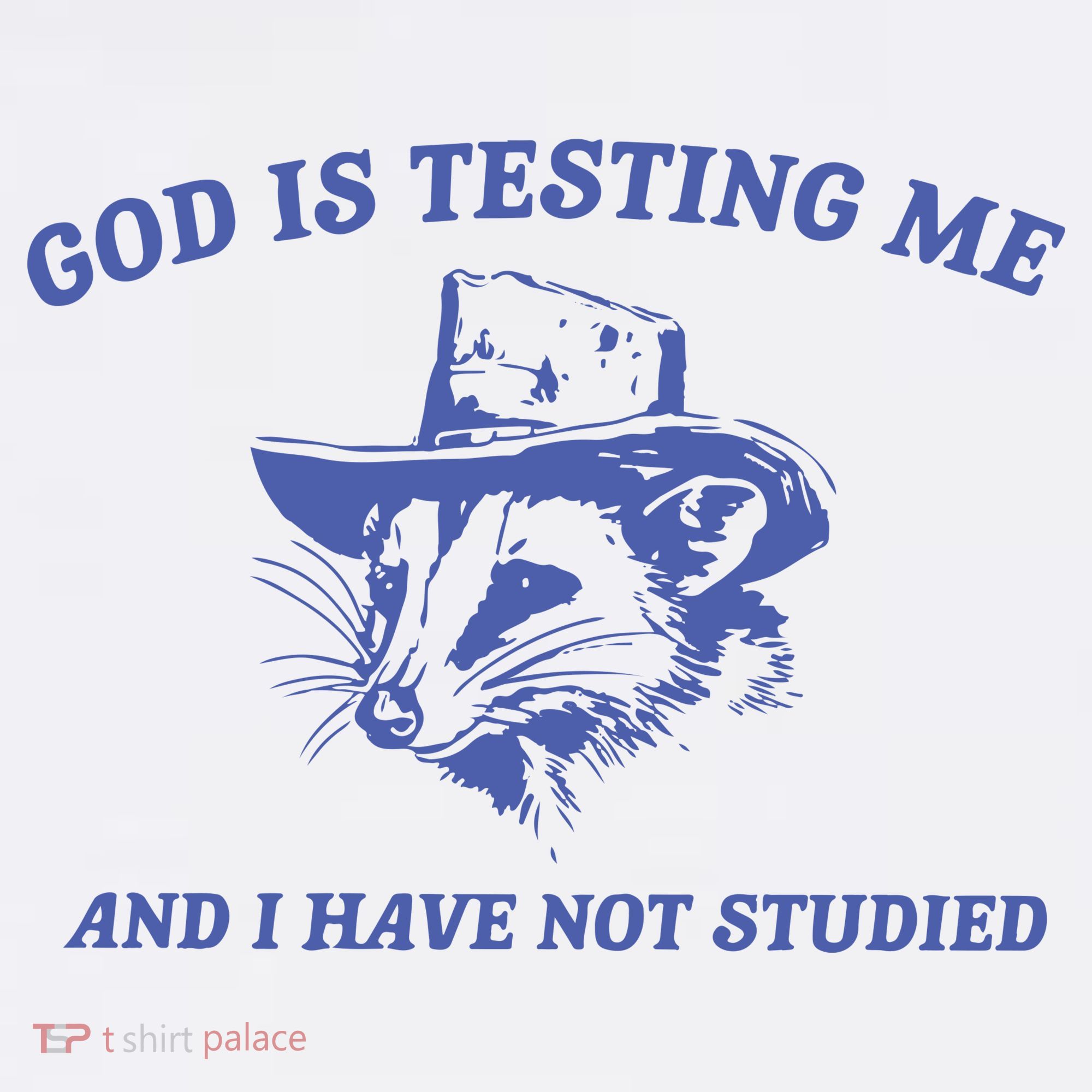 God Is Testing Me Possum Weird Opossum Kids Sweatshirt