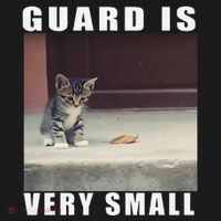 Guard Is Very Small Cat Funny Oddly Specific Dank Meme Bucket Hat thumb 4