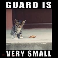 Guard Is Very Small Cat Funny Oddly Specific Dank Meme Ornament thumb 1