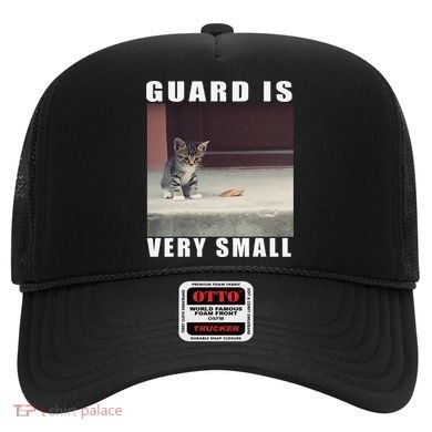 Guard Is Very Small Cat Funny Oddly Specific Dank Meme Hat
