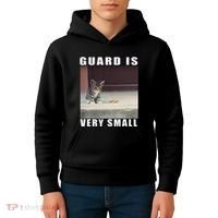 Guard Is Very Small Cat Funny Oddly Specific Dank Meme Kids Hoodie thumb 4