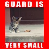 Guard Is Very Small Cat Funny Oddly Specific Dank Meme Santa Hat thumb 1
