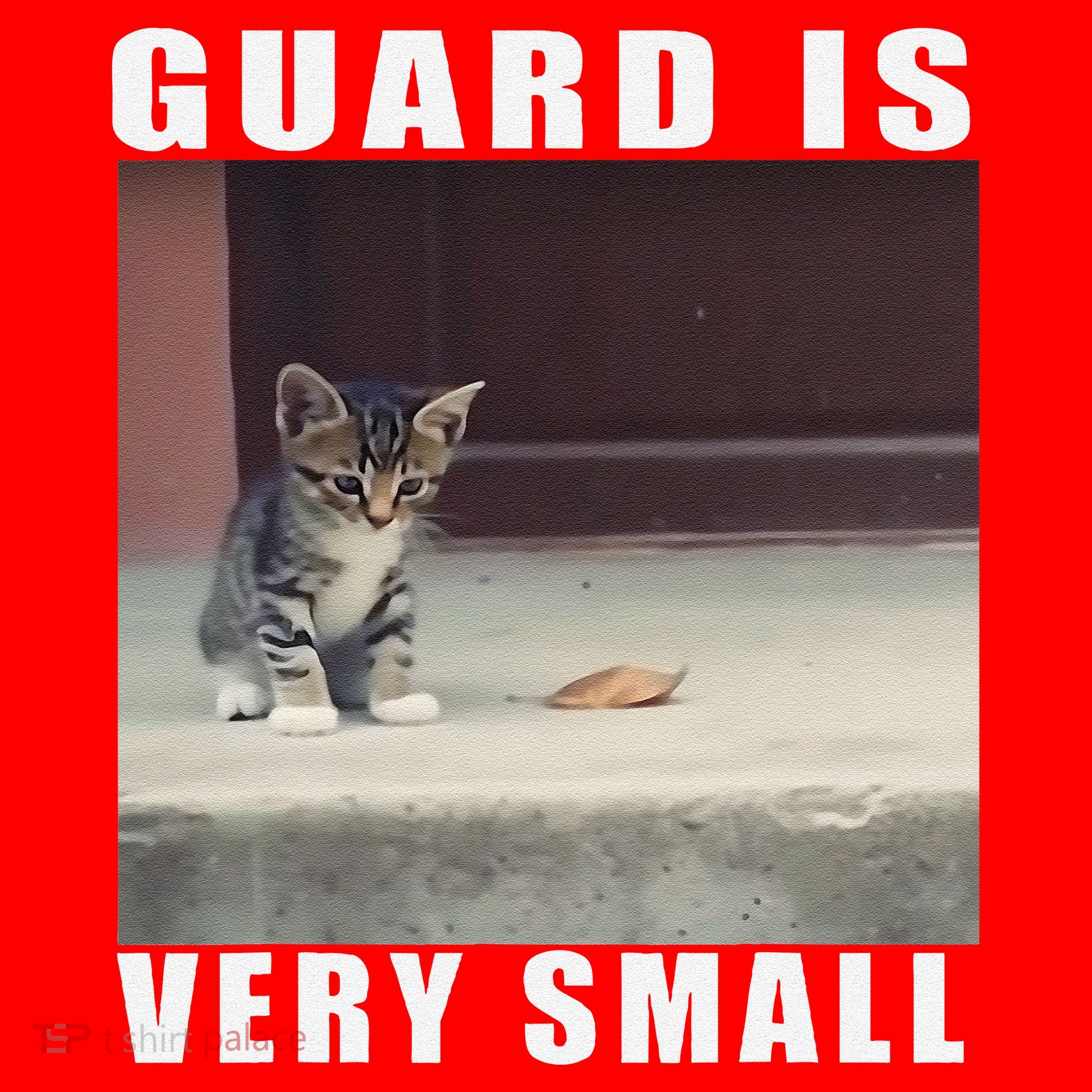 Guard Is Very Small Cat Funny Oddly Specific Dank Meme Santa Hat