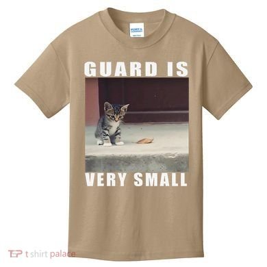 Guard Is Very Small Cat Funny Oddly Specific Dank Meme Kids T-Shirt