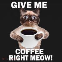 Give Me Coffee Right Meow USA-Made Doggie Bandana thumb 2