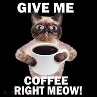 Give Me Coffee Right Meow Button thumb 1
