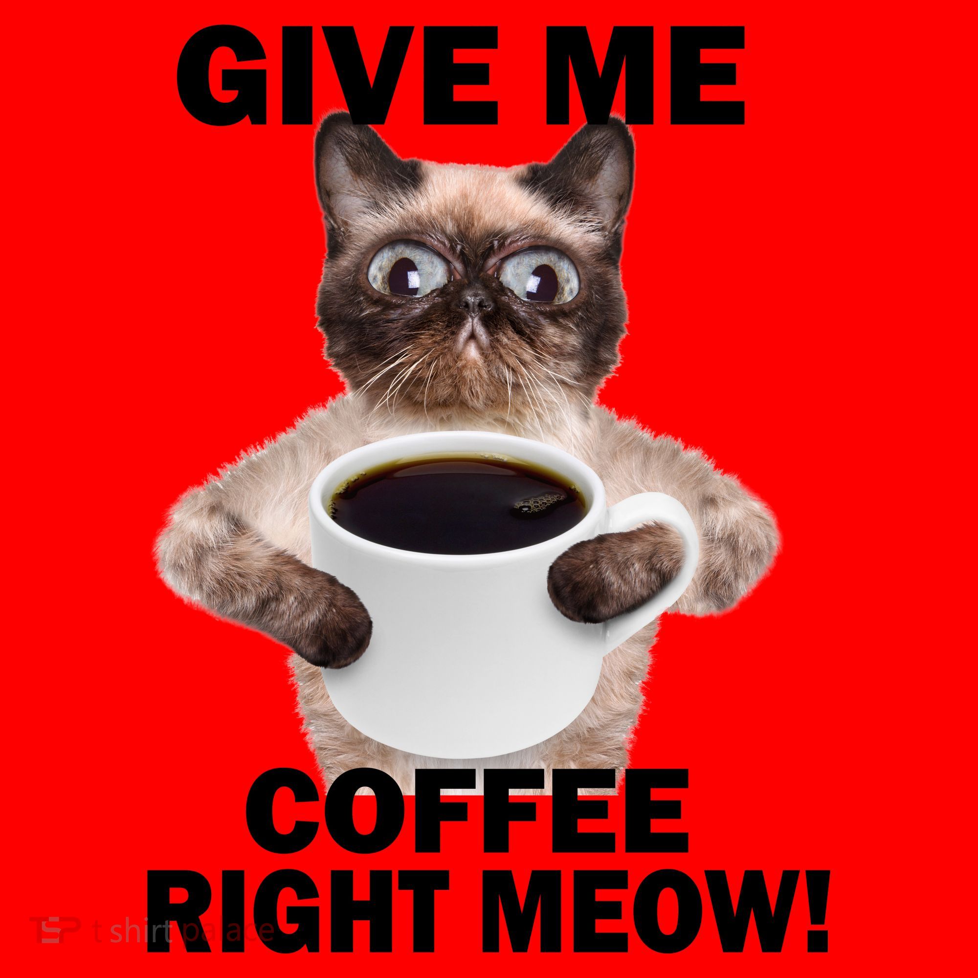 Give Me Coffee Right Meow Santa Hat