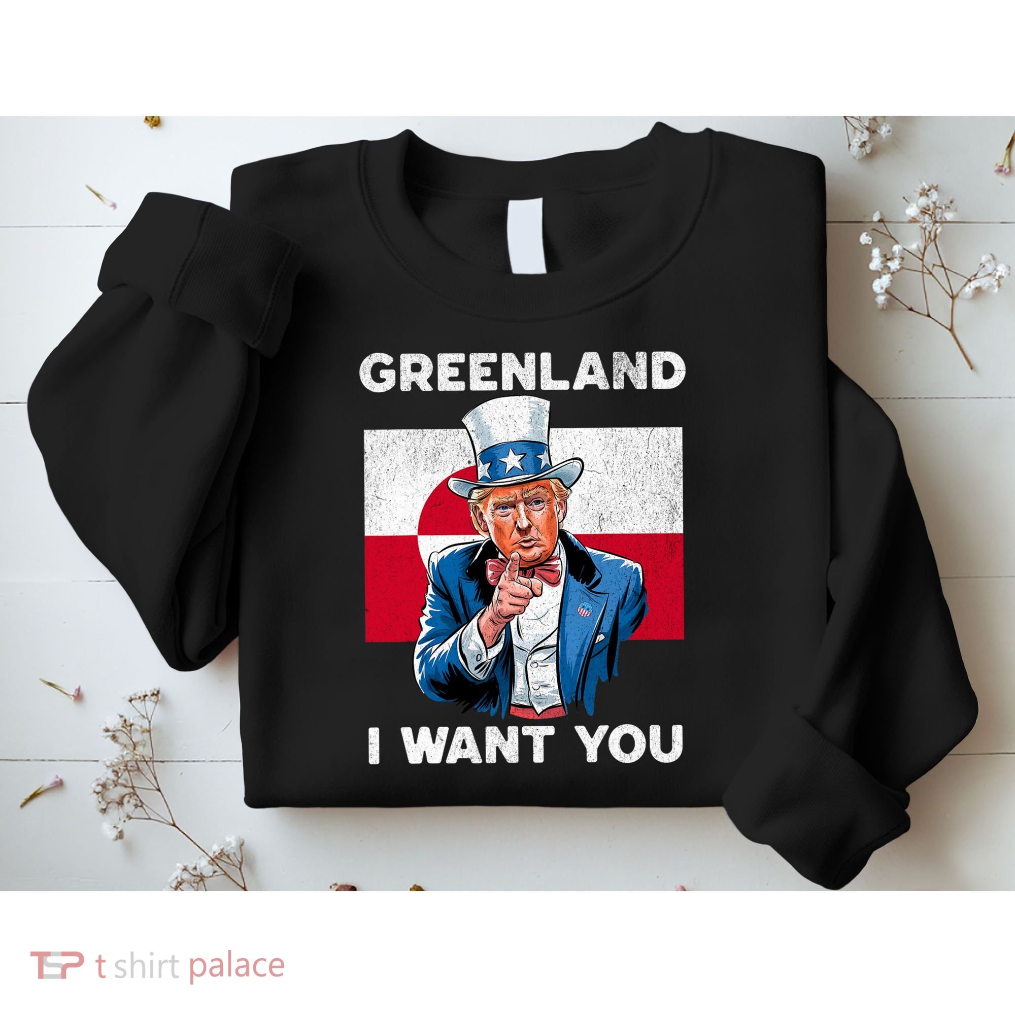 Greenland, I Want You! Funny Trump Meme Sweatshirt