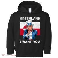 Greenland, I Want You! Funny Trump Meme Toddler Hoodie thumb 0