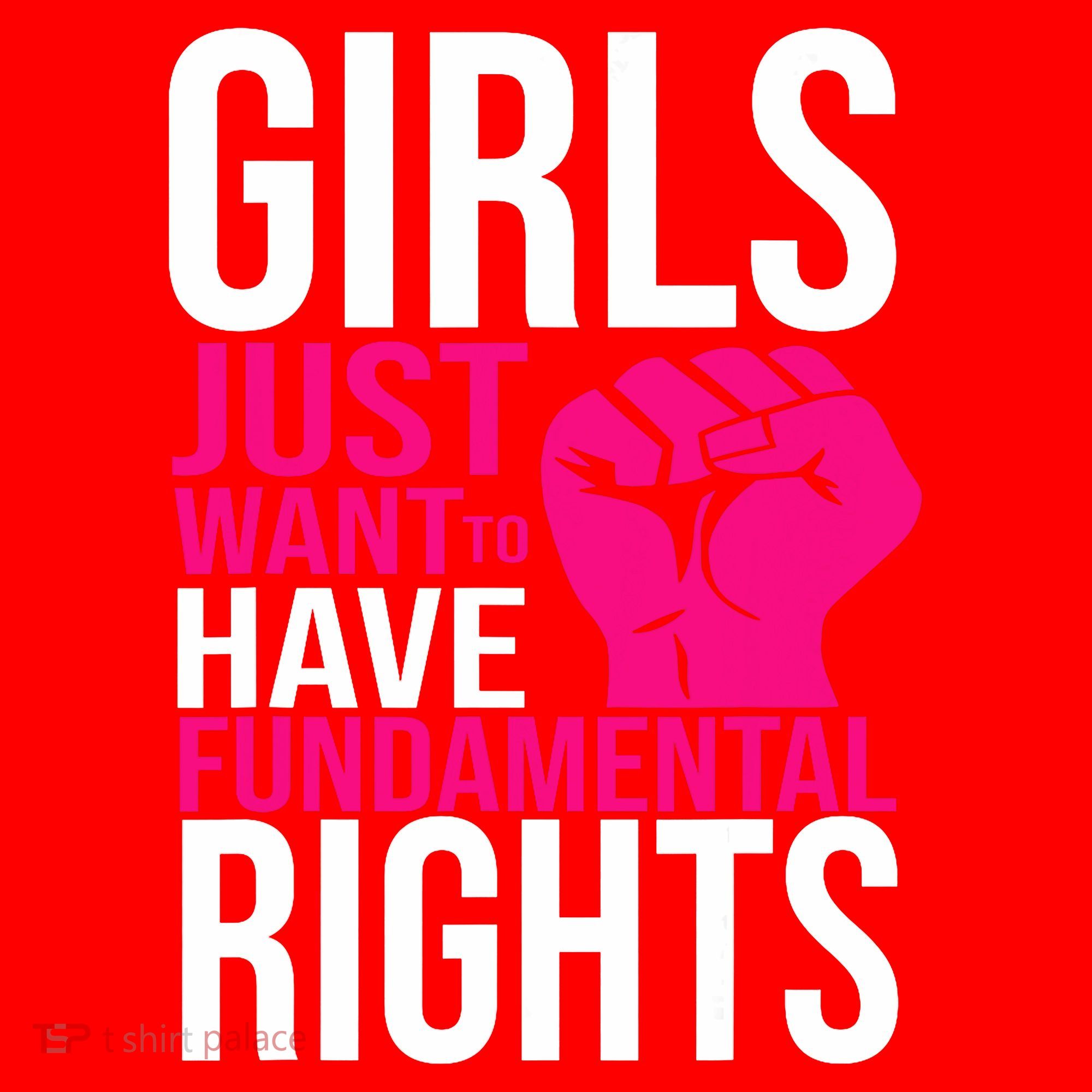 Girl  Just Want To Have Fundamental Rights Santa Hat