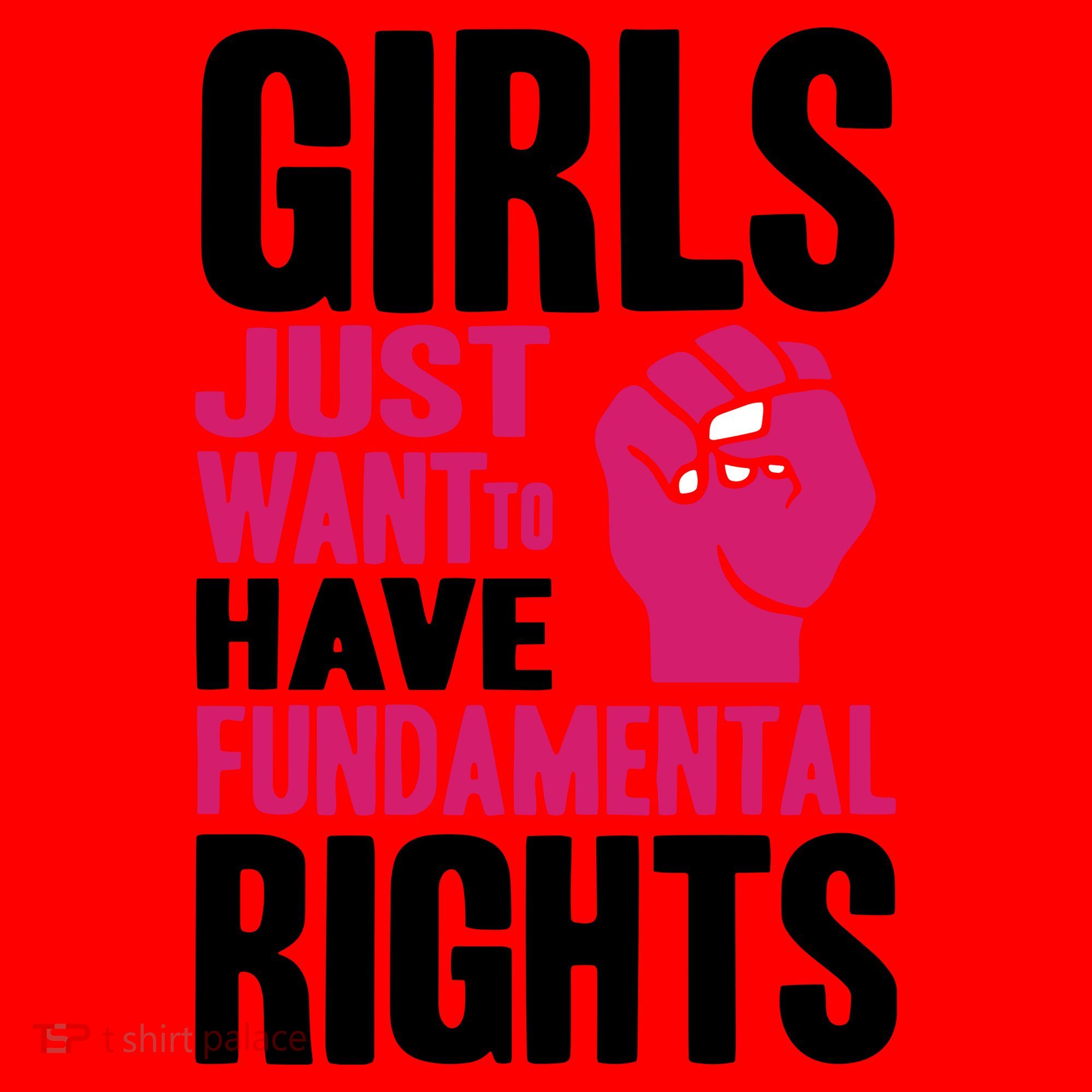 Girl Just Want To Have Fundamental Rights Protest Santa Hat
