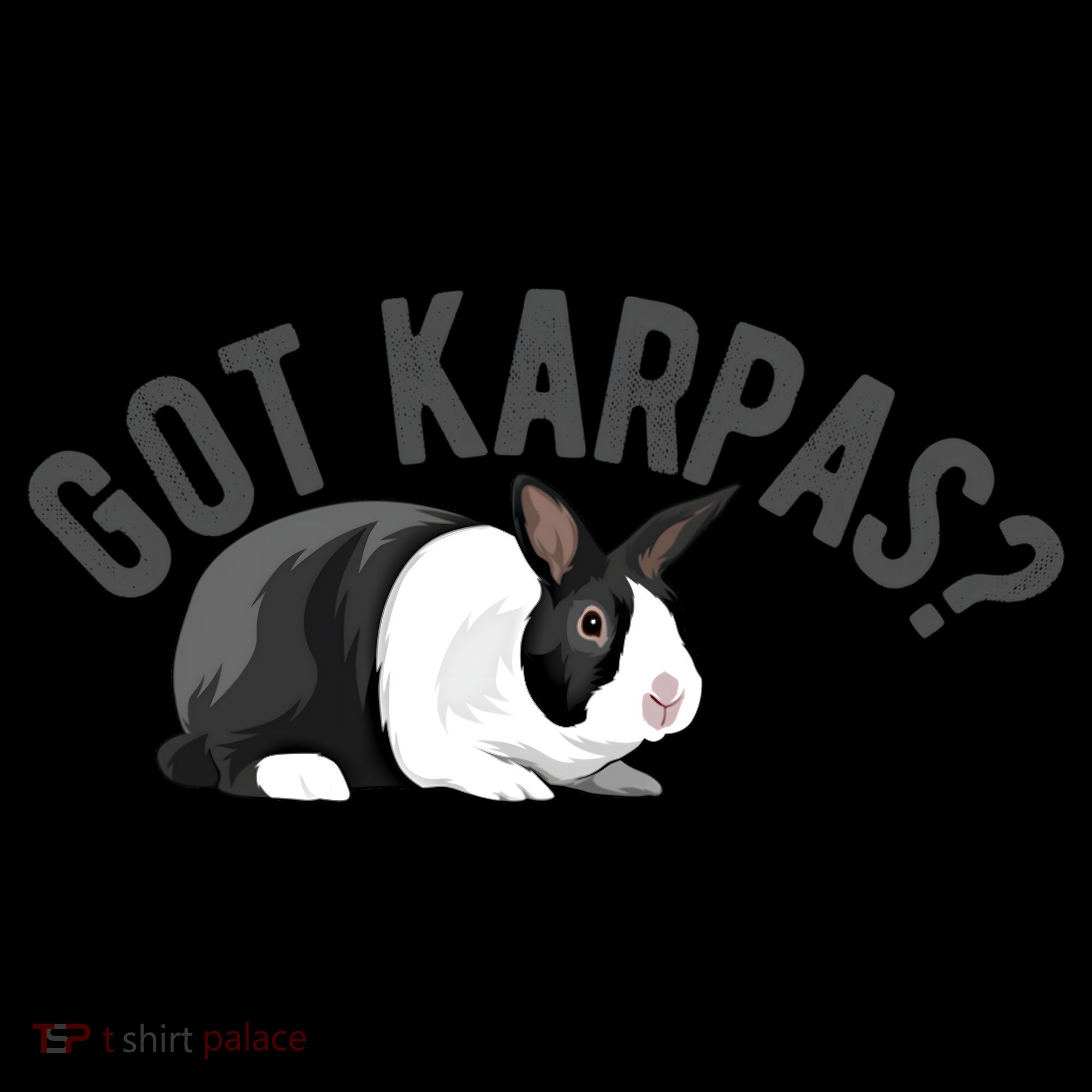 Got Karpas Funny Passover Seder Plate Jewish Humor Meme Gift Women's Hoodie