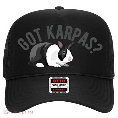 Got Karpas Funny Passover Seder Plate Jewish Humor Meme Gift Hat