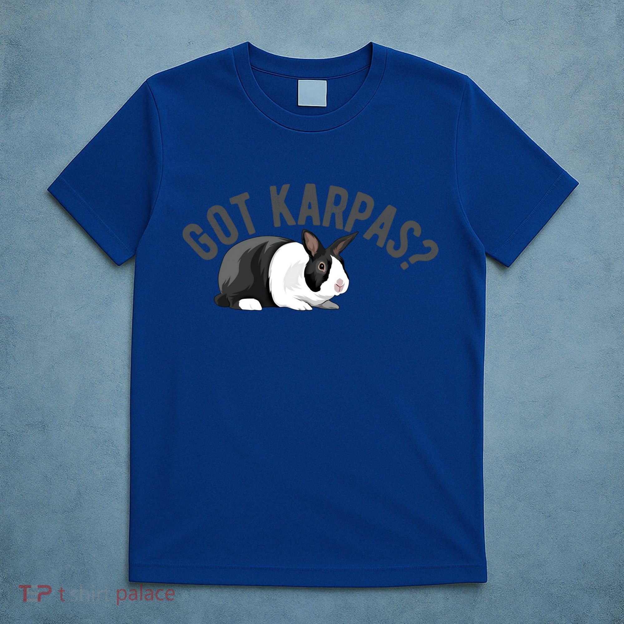 Got Karpas Funny Passover Seder Plate Jewish Humor Meme Gift T-Shirt