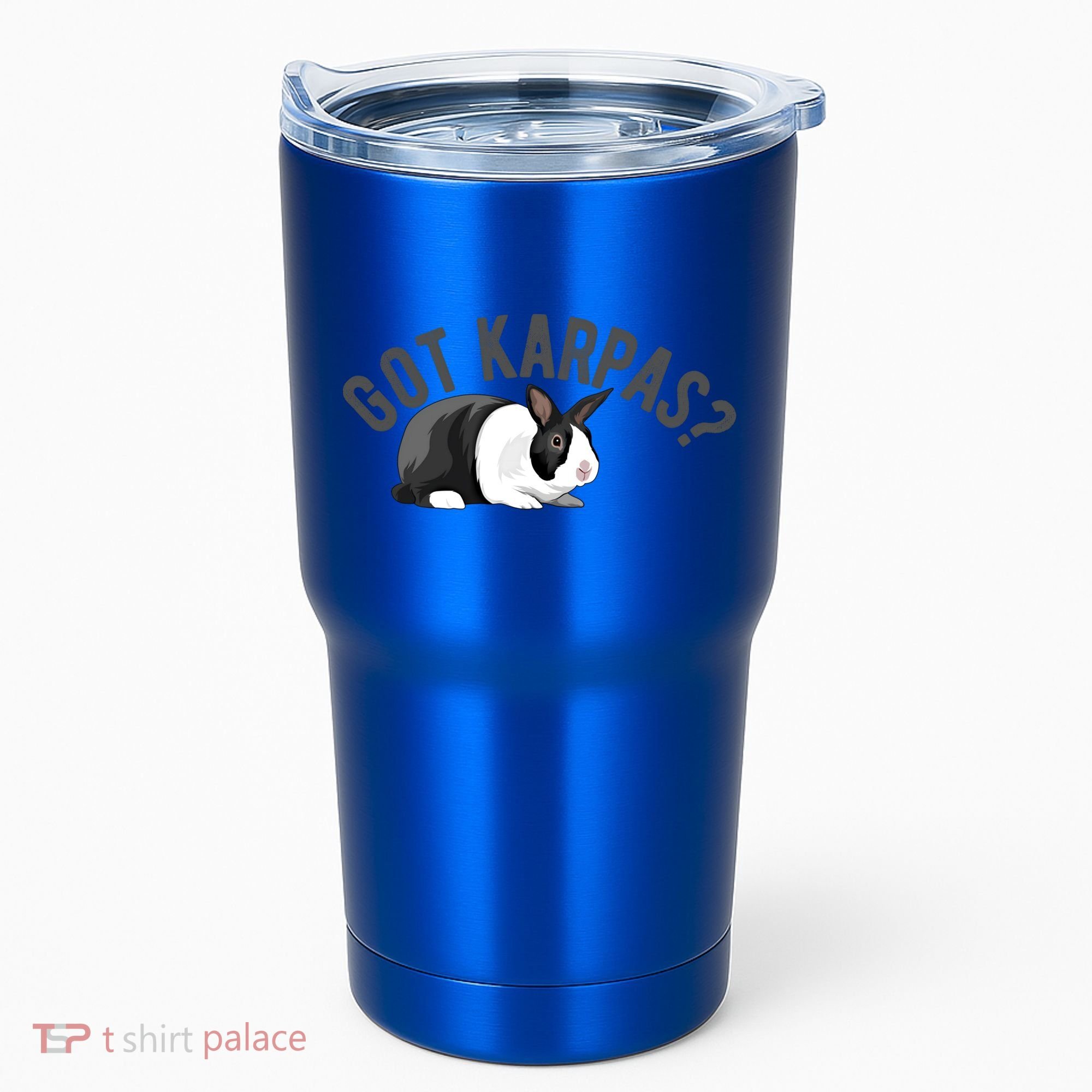 Got Karpas Funny Passover Seder Plate Jewish Humor Meme Gift Tumbler