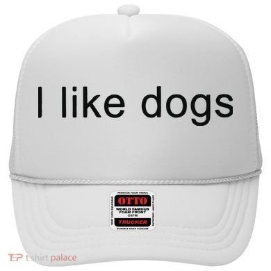 I Like Dogs Hat