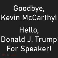 Goodbye Kevin McCarthy Hello Donald J. Trump For Speaker Tumbler thumb 3