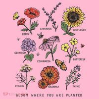 Garden Life Bloom Where You Are Planted Botanican Flowers Coaster thumb 2